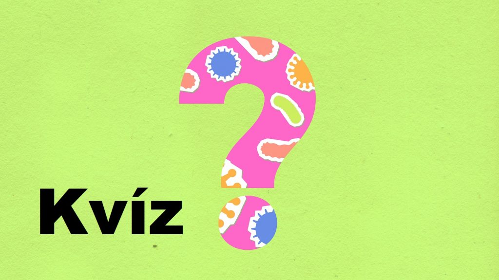 kvíz kvízkérdés