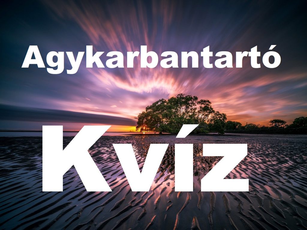 Agykarbantartó kvíz