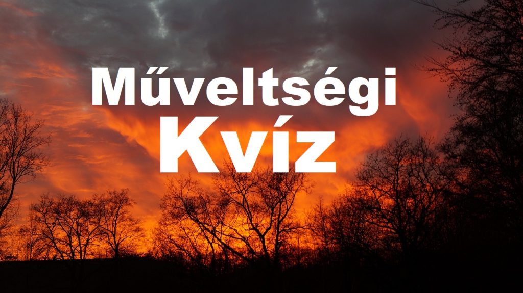 kvíz