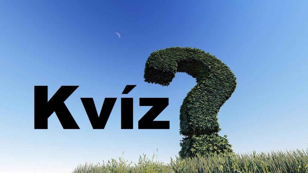 kvíz