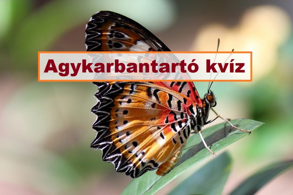 agykarbantartó kvíz