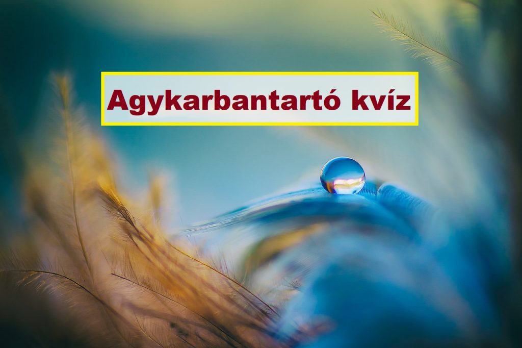agykarbantartó teszt kvíz