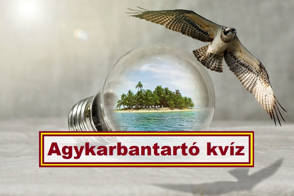 kvíz