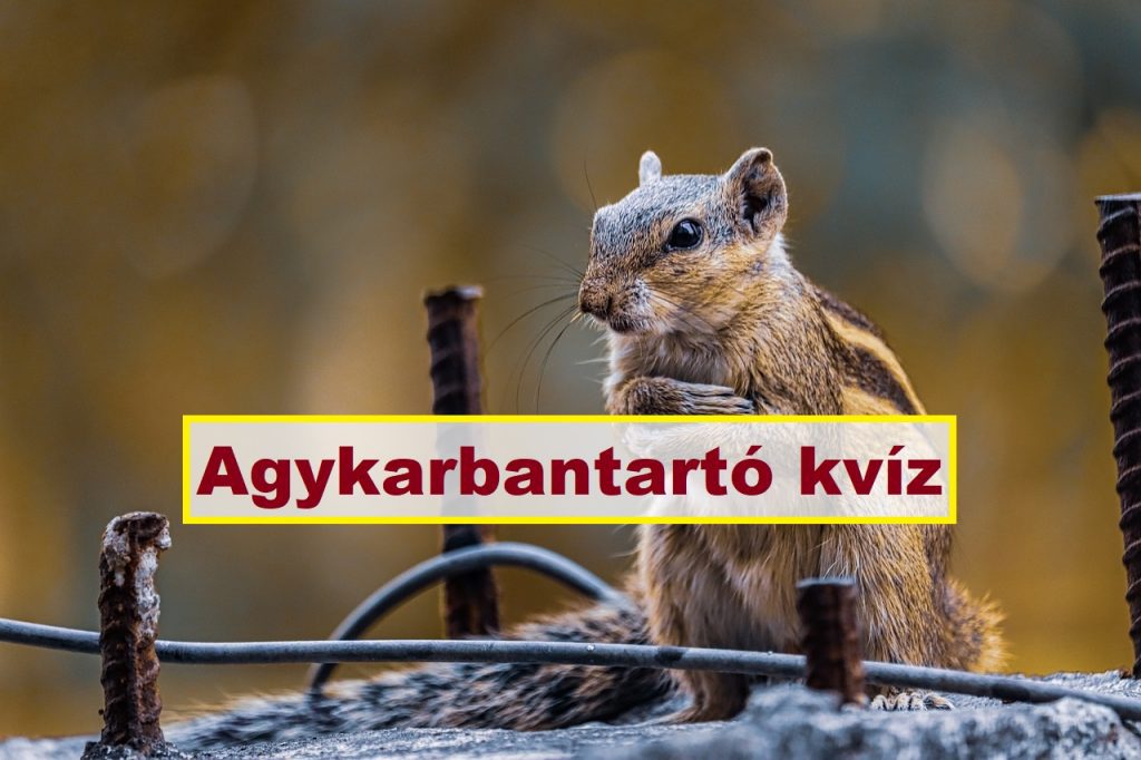 agykarbantartó kvíz