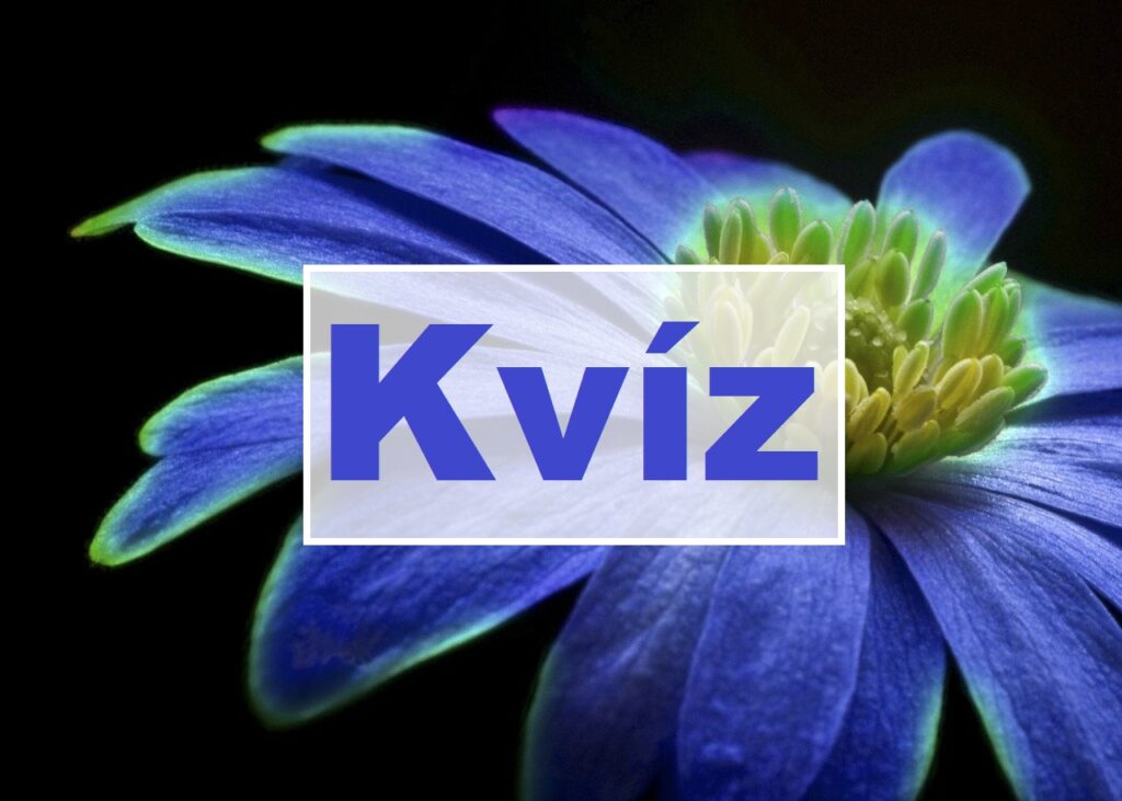 napi kvíz