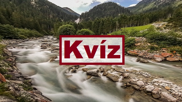 kvíz