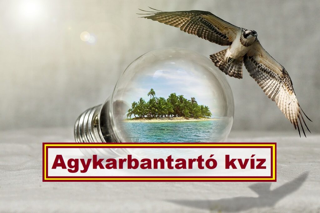 agykarbantartó kvíz