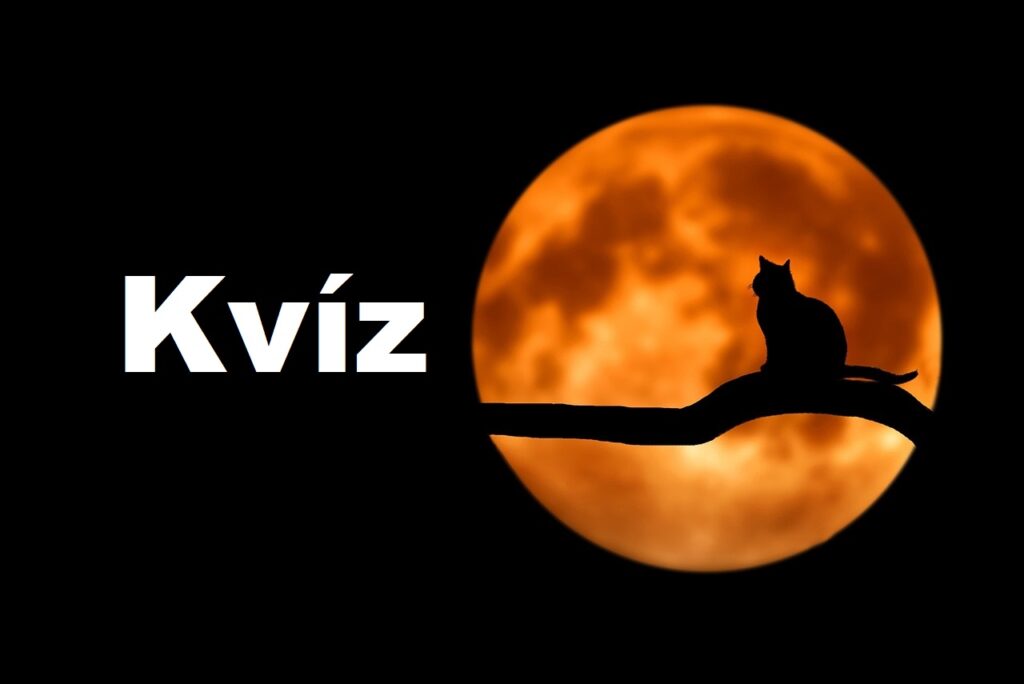 kvíz