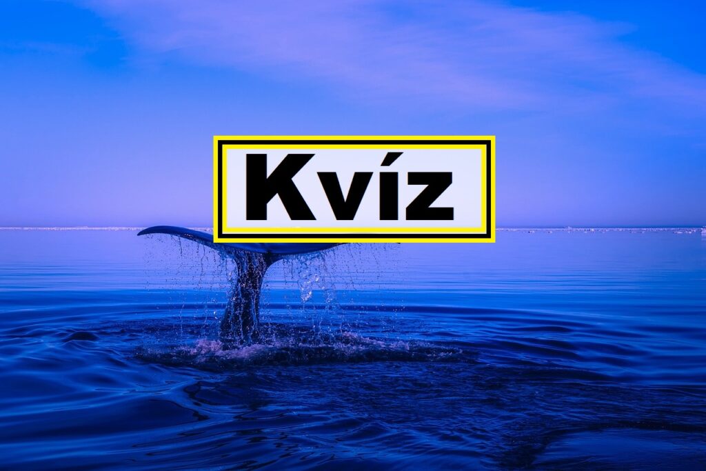 kvíz kvízkérdések