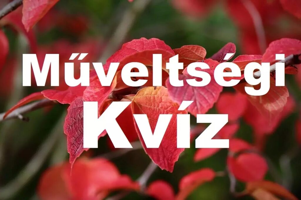műveltségi kvíz