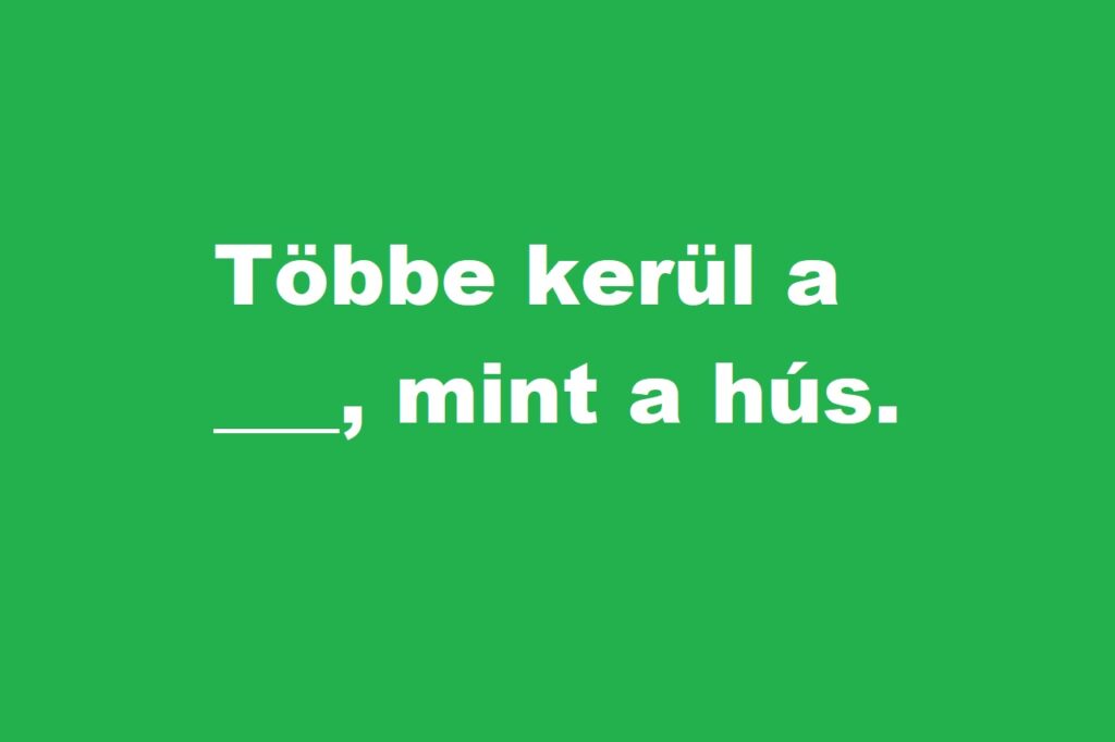 kvíz kérdés