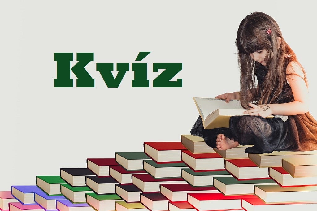 kvíz