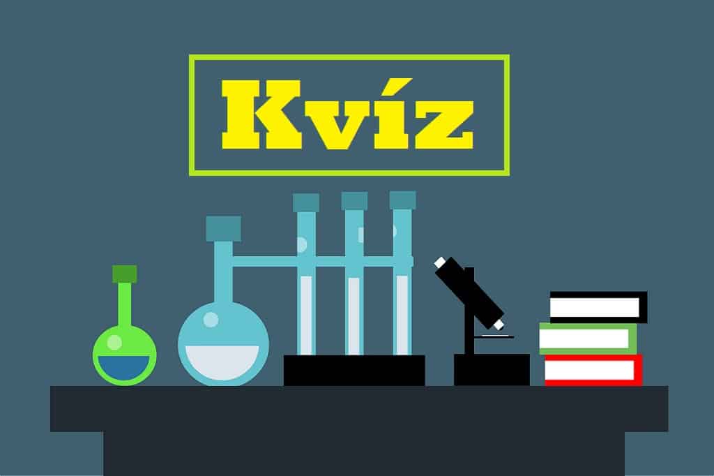 kvíz