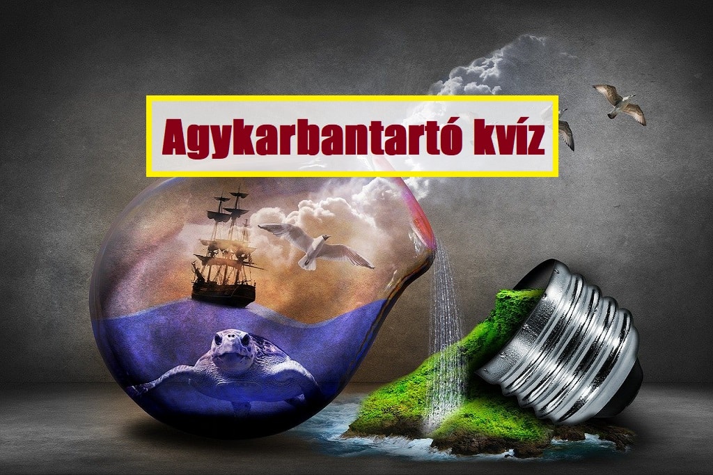 Agykarbantartó kvíz