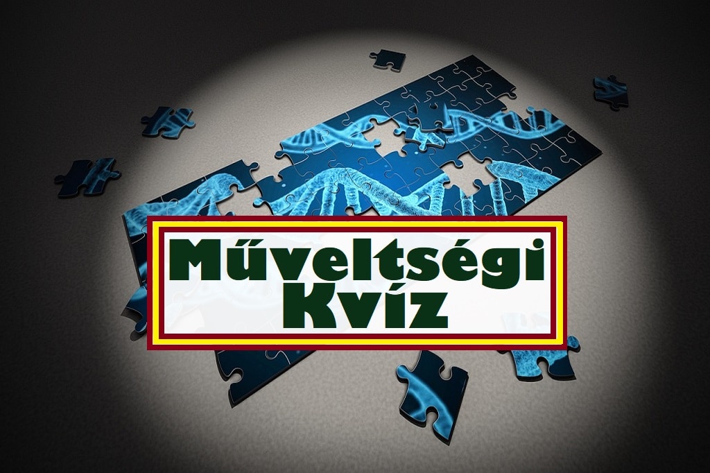 műveltségi kvíz
