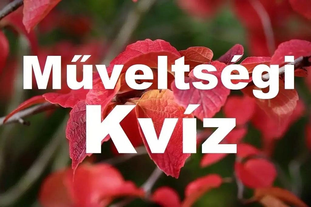 műveltségi kvíz