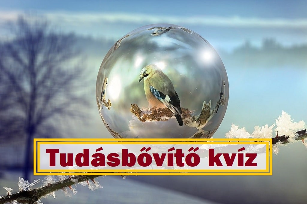 Tudásbővítő kvíz