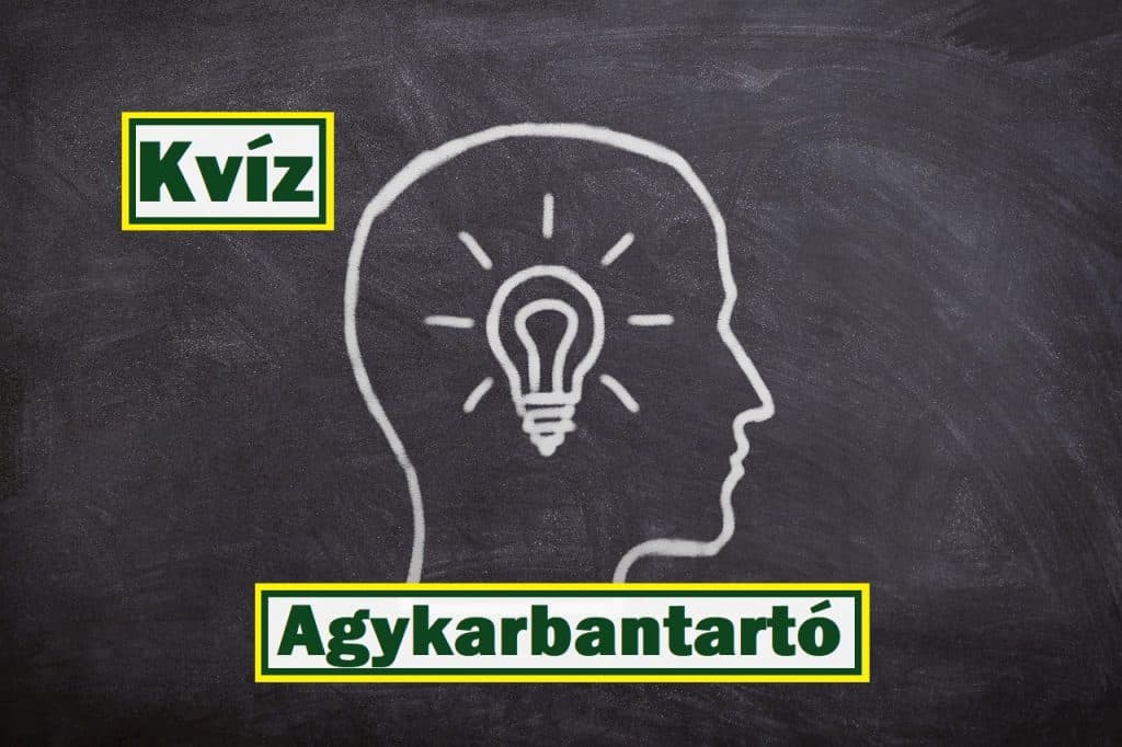 Agykarbantartó kvíz