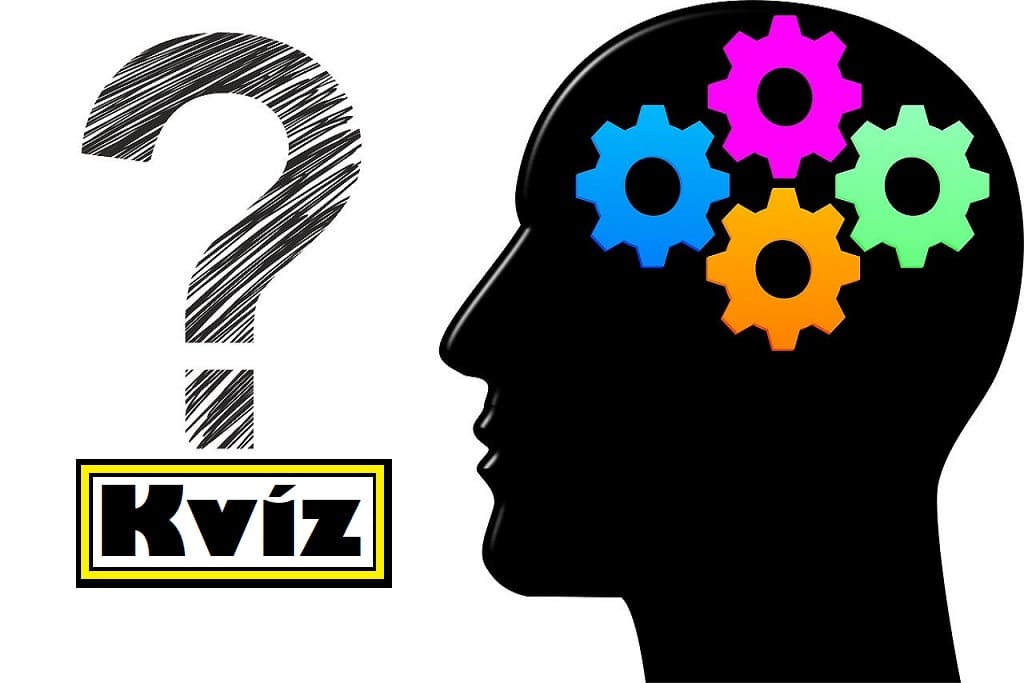kvíz
