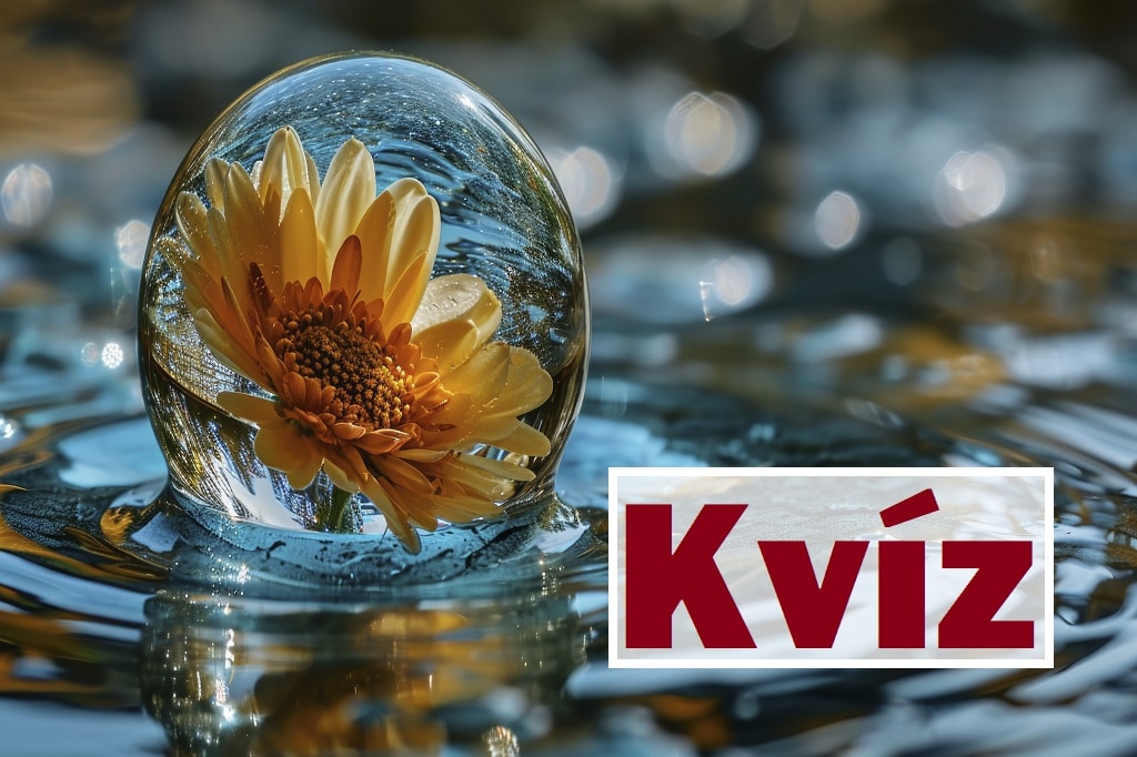 kvíz