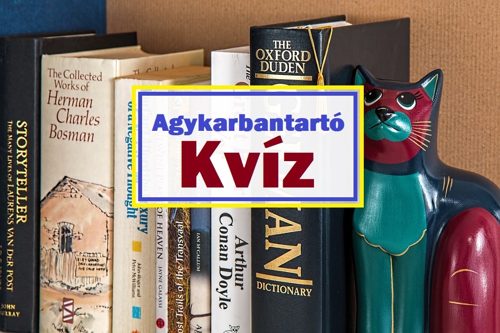 Agykarbantartó kvíz